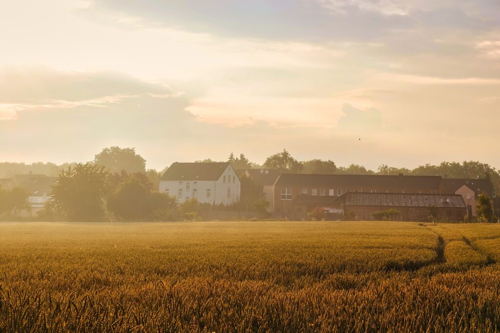 Agricultural buildings across a field while the sun sets