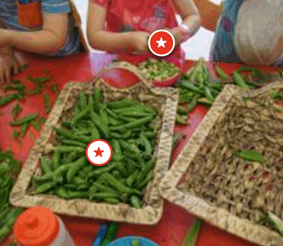 children shelling peas for food education by Soil Associaiton