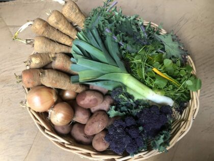 Basket of vegetables