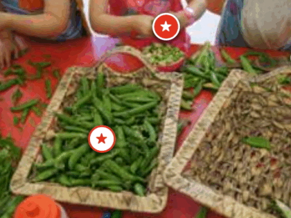 children shelling peas for food education by Soil Associaiton